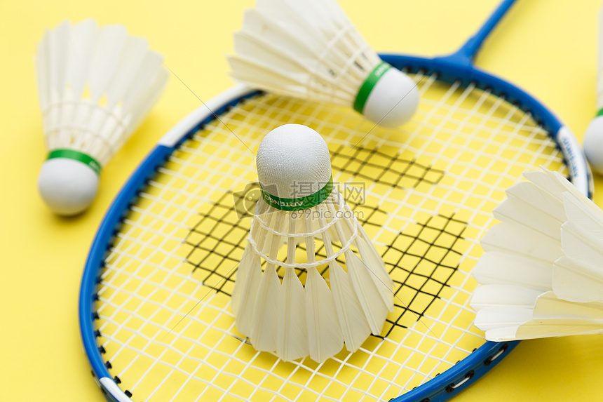 人训练营名 人训练营名